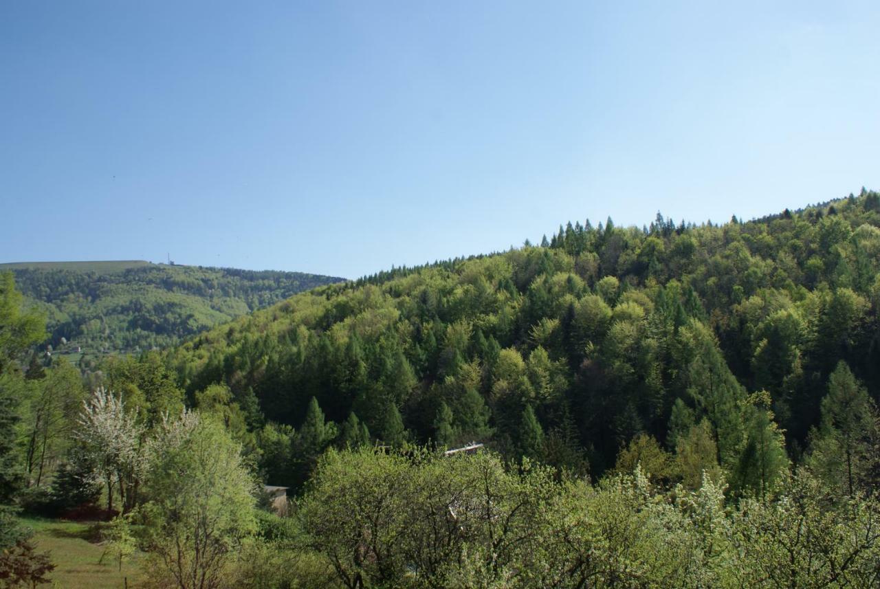 Willa Kasztelanska Porąbka Buitenkant foto